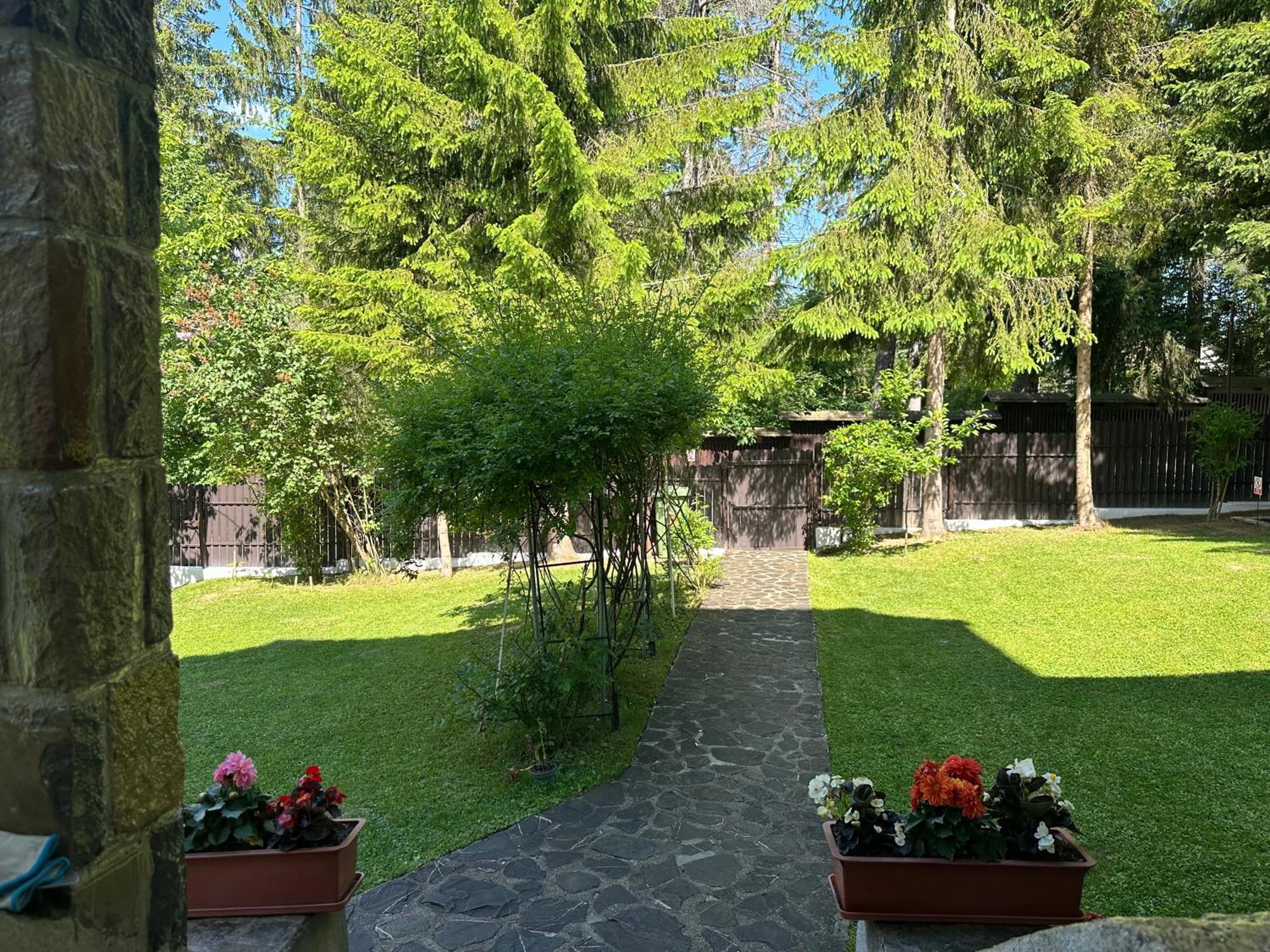 Green Yard Villa Predeal Exterior photo